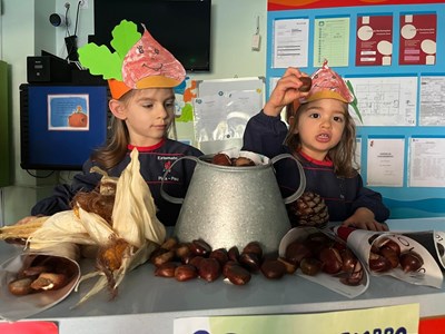 Castanhas e bom tempo para celebrar o São Martinho