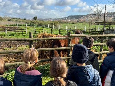 Colónia de Férias de Natal levou alunos até à Quintinha da Paiã