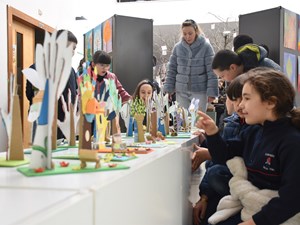 dsc-0241