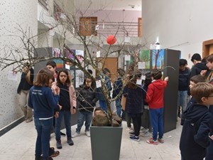 dsc-0250