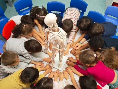 Novas descobertas na Sala dos Pipocas 