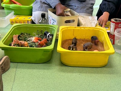 Leõezinhos vivem uma manhã sensorial cheia de descobertas