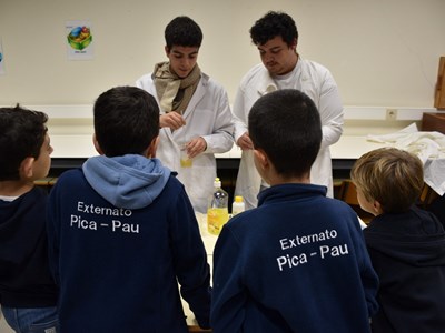 Alunos do 4.º ano são Pequenos Cientistas durante uma manhã